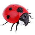 thumbnail image 3 of MagiDeal Enfants Capteur Infrarouge Télécommande Animal Coccinelle Modèle Jouet, 3 of 8