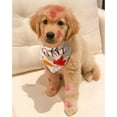 thumbnail image 6 of Cute Fall Dog Bandanas 2 Pack, Autumn Hello Fall Hey Pumpkin Maple Leaves Dog Scarf, Thanksgiving Handkerchief Scarves Gifts for Puppy Large Dogs, 6 of 6