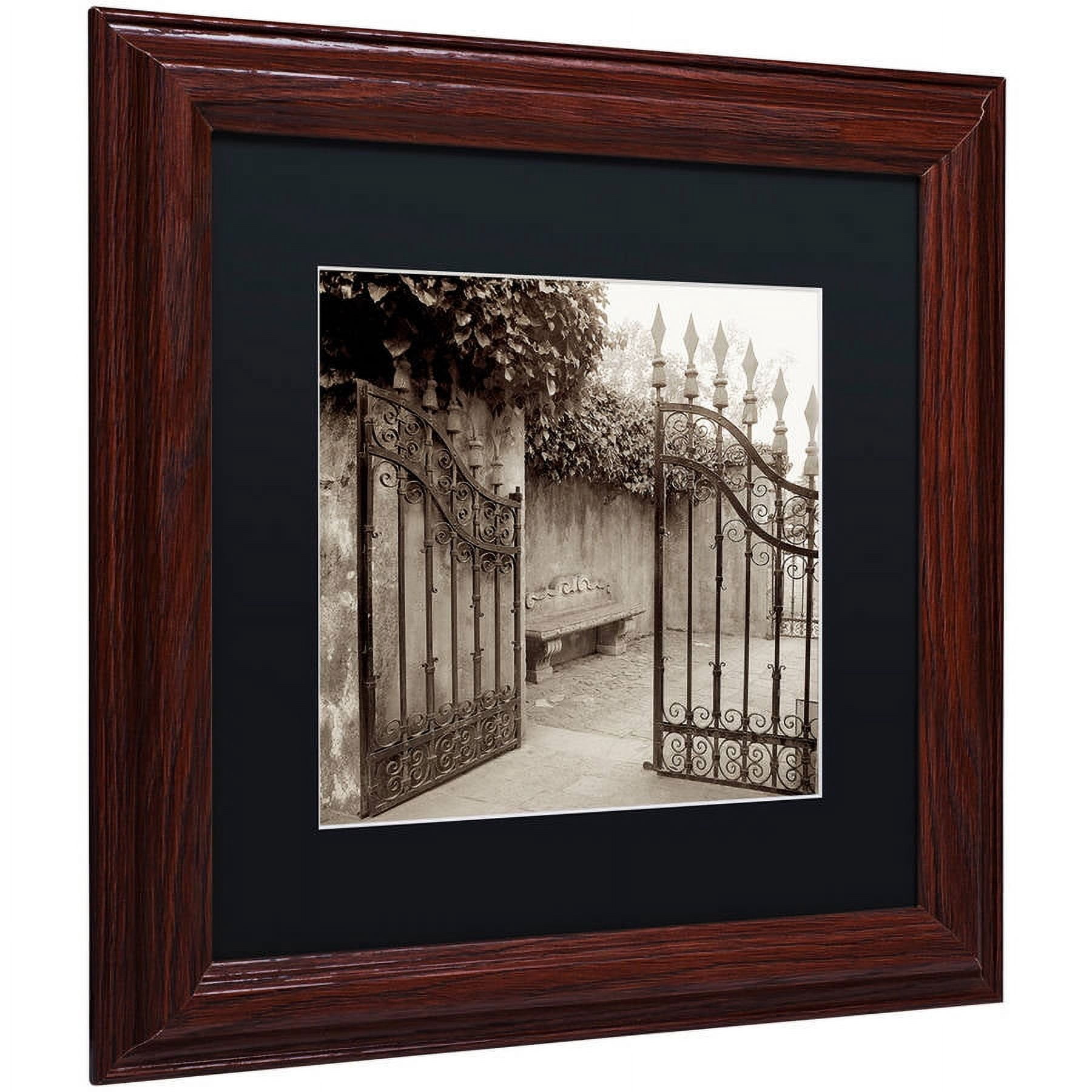 Trademark Fine Art "Avignon I" Canvas Art by Alan Blaustein, Black Matte, Wood Frame