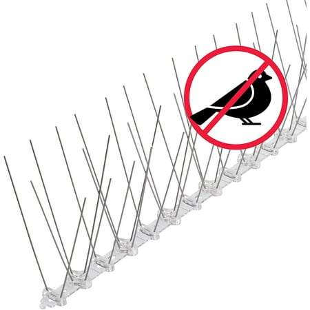 LUO Anti Pigeon Spike | Pigeon repellent | 3m | Anti Pigeon Peak | Bird ...