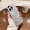 Silver, variant on Allytech Metallic Paint Frameless Magnetic Phone Case for iPhone 11 Pro Max, Compatible with MagSafe Suppor Wireless Charging Ultra Thin Lightweight Shockproof Matte Hard PC Bezel-Less Cover, Silver