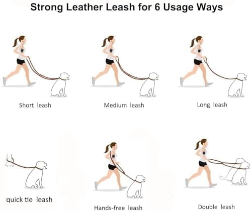Multi Function 8ft Genuine Leather Hands Free Dog Training Leash for Puppy Small and Medium Dogs (8 Foot*3/8 inch, Black)