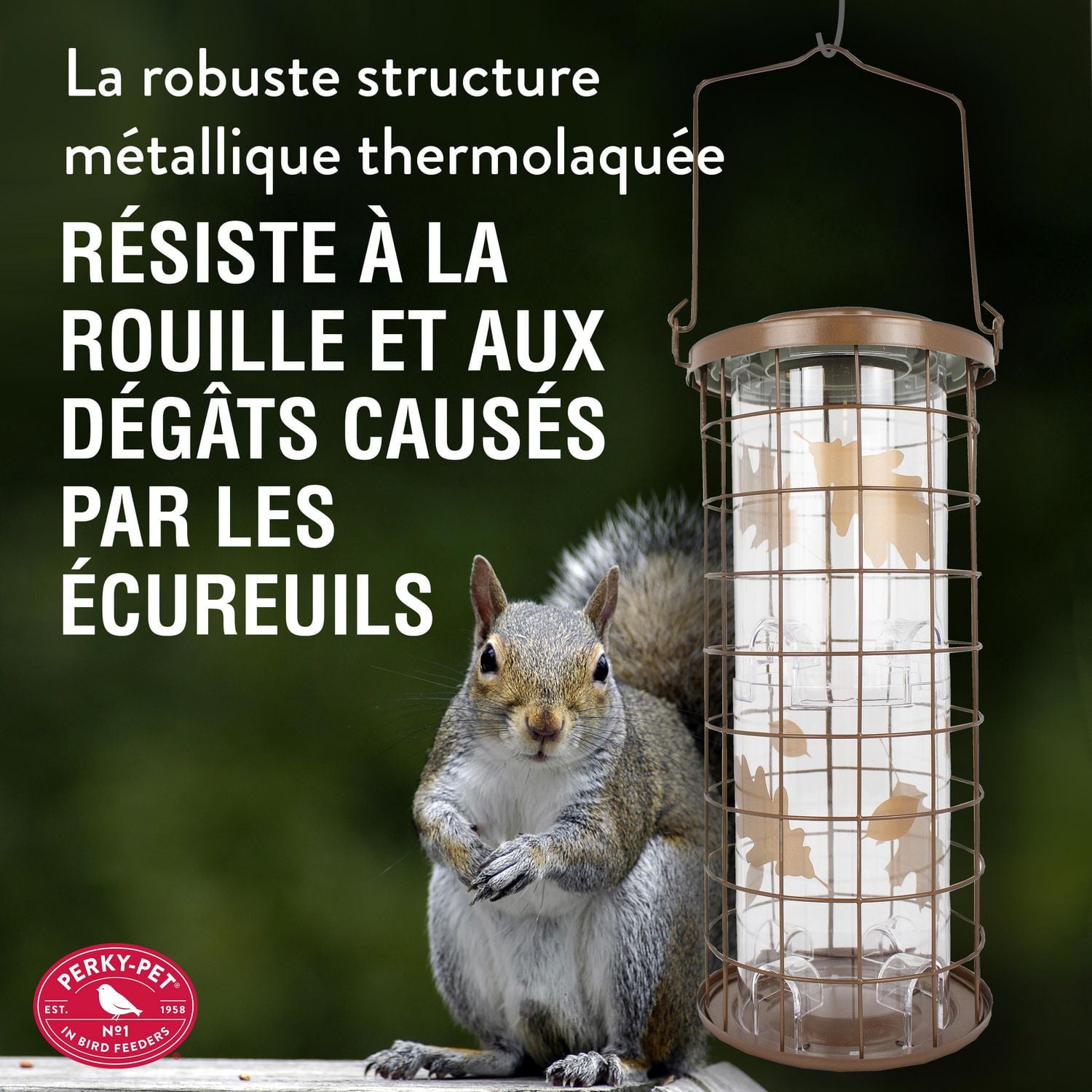 Mangeoire à oiseaux sauvages contre écureuils Perky-Pet