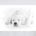 thumbnail image 3 of CafePress - Lab Pup Nap Light T Shirt - Men's Classic Graphic T-Shirt, 3 of 4