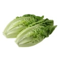thumbnail image 1 of 3000 LITTLE GEM LETTUCE Small Romaine Butterhead Lactuca Sativa Vegetable Seeds, 1 of 3