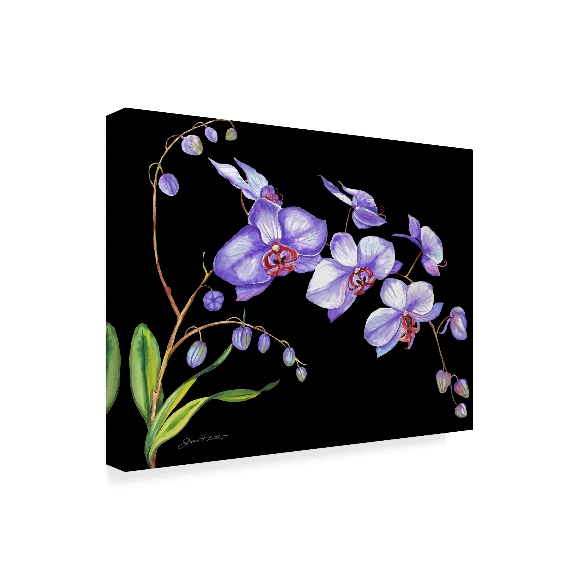 Trademark Fine Art 'Orchids Purple Black' Canvas Art by Jean Plout