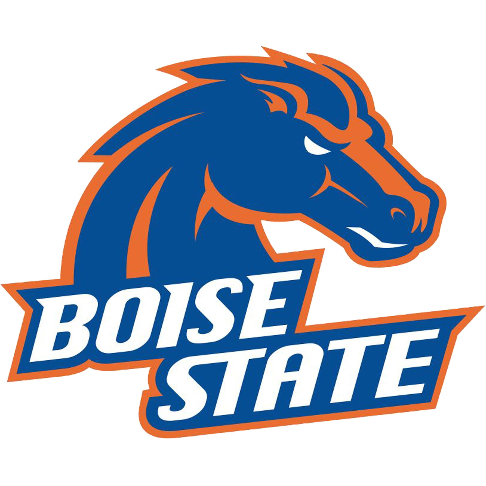 Boise State Broncos 9" Wide Premium Vinyl Decal Sticker Full Color NCAA 