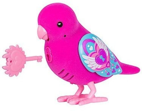little live pets bird walmart