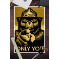 thumbnail image 3 of Smokey Bear, Only You, Halftone Yellow (12x18 Wall Art Poster, Room Decor), 3 of 3