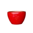 thumbnail image 1 of Planter Ceramic Large Caliber Indoor And Outdoor Fortune Tree Greens Succulent Simple, 1 of 9
