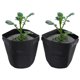 thumbnail image 5 of Bolsa para cultivo de patatas y tomates para jardines al aire libre - Macetero de tela transpirable para plantas de hortalizas (negro), 5 of 8