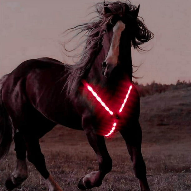 Adjustable LED Horse Breastplate Collar High Horseback Sturdy Flashing