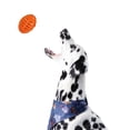 thumbnail image 2 of Juguete Balón De Rugby Grande P/Perro Premios Fancy Pets Fancy Pets FL8769, 2 of 2