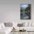 thumbnail image 3 of Trademark Fine Art 'Southfork Grizzly' Canvas Art by Allen Jimmerson, 3 of 3
