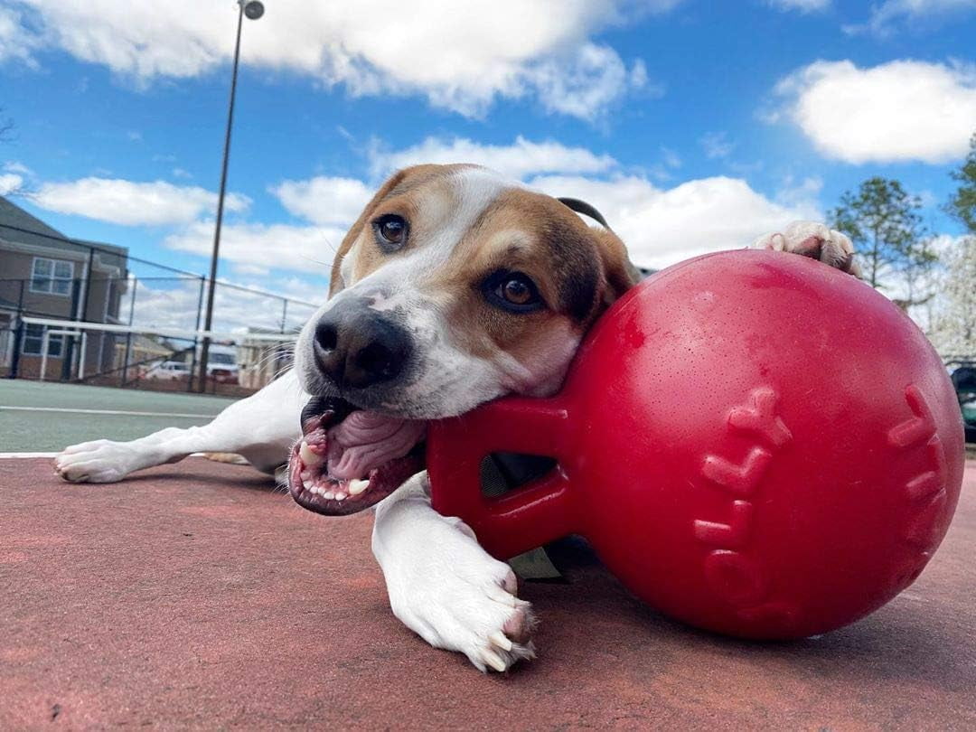 Jolly Pets Mini Tug n Toss Ball Dog Toy, 4", Red
