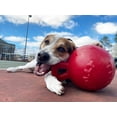 thumbnail image 5 of Jolly Pets Mini Tug n Toss Ball Dog Toy, 4", Red, 5 of 7