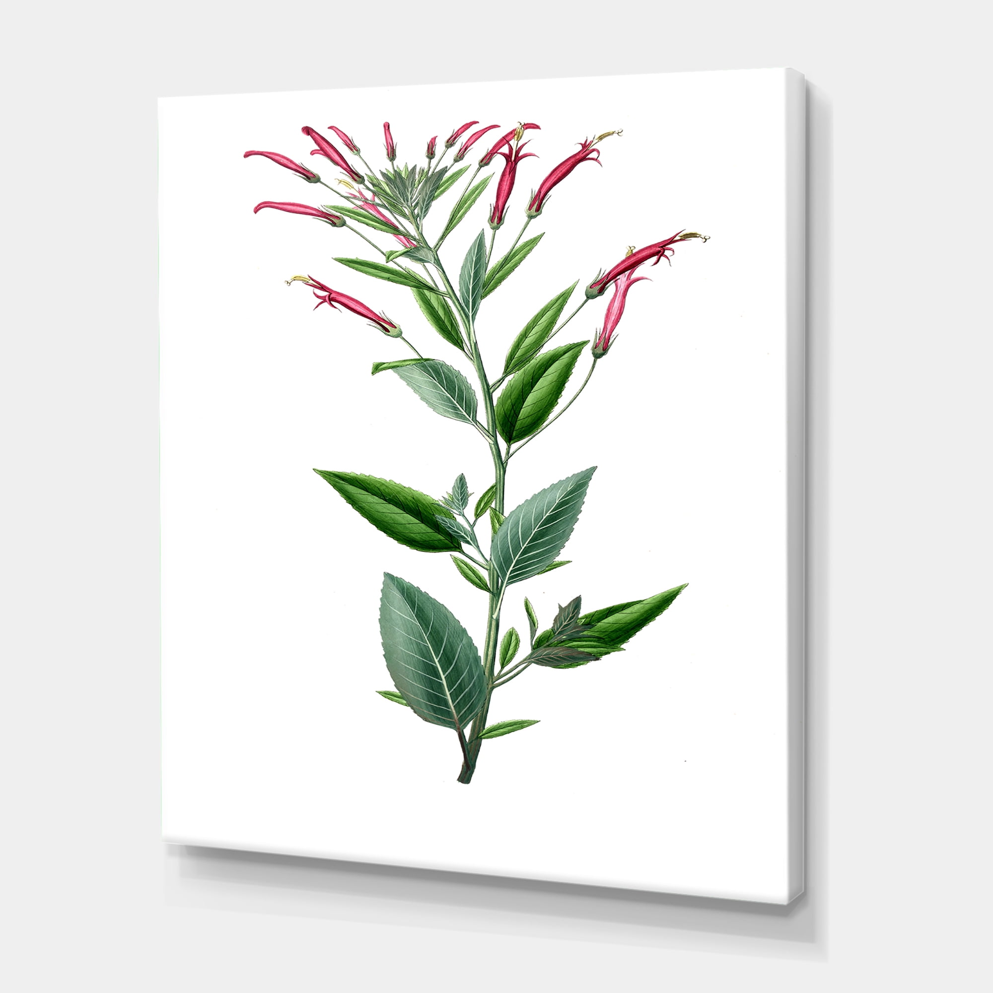 Designart ' Ancient American Flora III ' Traditional Canvas Wall Art Print