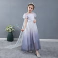 thumbnail image 5 of Little Girls Princess Dress for Christmas Birthday Halloween Party, 5 of 6