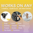 thumbnail image 5 of The Stink Solution Urine Odor Neutralizer Spray for Dog and Cat Pee Removal, Wee Wee Fresh, 16 oz, 1 Count, 5 of 6