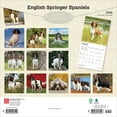thumbnail image 2 of English Springer Spaniels | 2026 12x24" (Hanging) Wall Calendar | Plastic-Free, 2 of 9