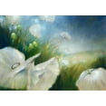 thumbnail image 2 of Schmucker, Annette 18x14 White Modern Wood Framed Museum Art Print Titled - Weisser Mohn, 2 of 4
