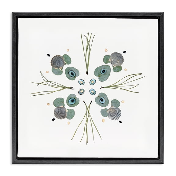 Stupell Industries Eclectic Seashell & Leaf Symmetry Black Floating Frame Canvas Art, 18 x 18, by Beth Adoette