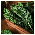 thumbnail image 5 of Everwilde Farms - 250 Organic Lacinato Kale Seeds - Gold Vault Jumbo Bulk Seed Packet, 5 of 5