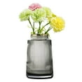 thumbnail image 3 of Glass Vase Flower Display Table Decor living room office Hydroponic Flower Vases Grey 20cm, 3 of 8