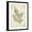 Black Frame, variant on Art.com Vintage Ferns IX Art Print by Hugo Wild, 12" x 16"