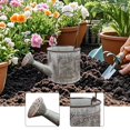thumbnail image 1 of Regadera de metal vintage, ideal como regalo para bonsáis, maceta decorativa para plantas, perfecta para el hogar, el jardín o de flores., 1 of 8