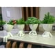 thumbnail image 1 of Kit 4 Macetas Bob Robert 11cm para suculentas Decorativas Deng Xun unisex, 1 of 1