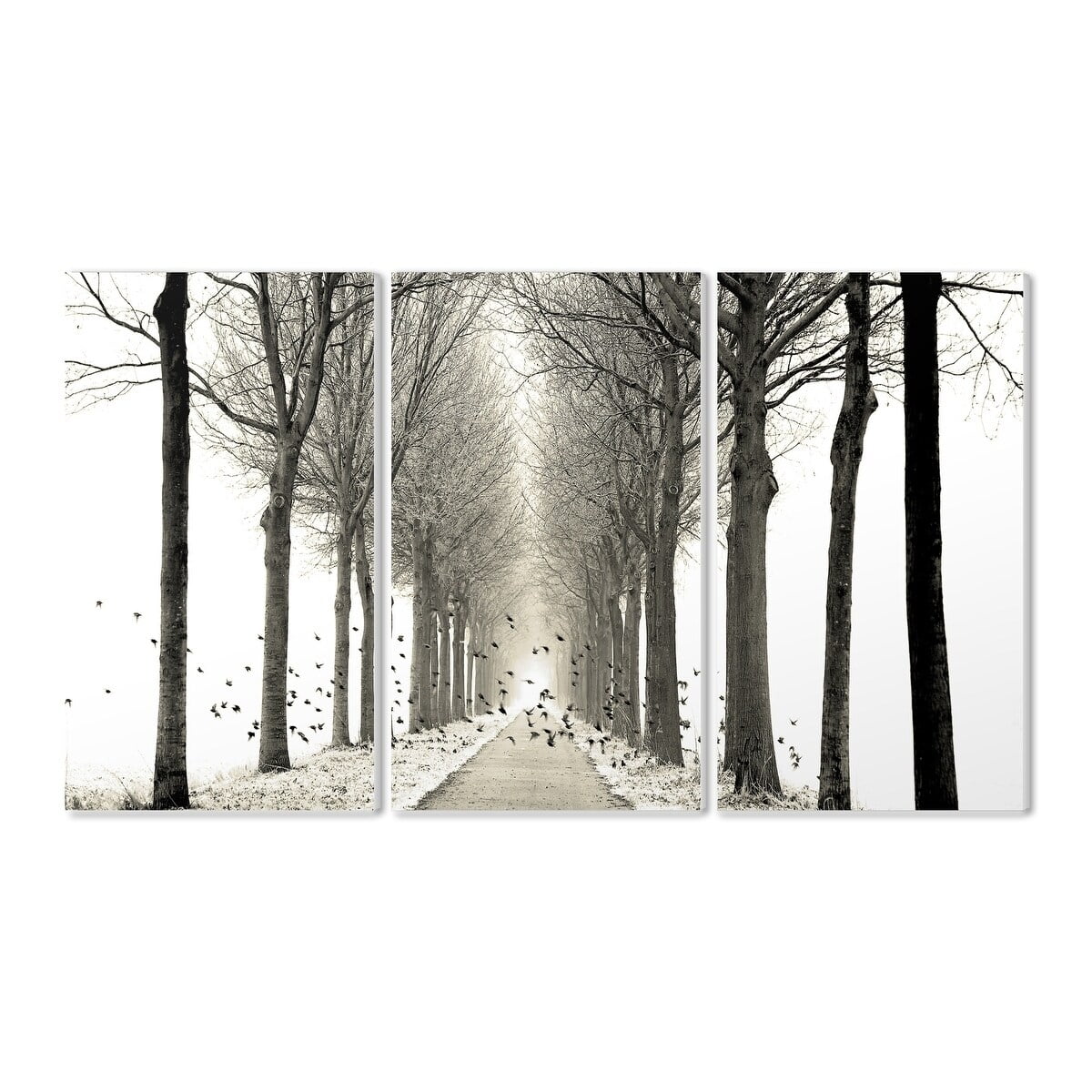 The Stupell Home Decor Collection Black and White Minimal Winter Forest Pathway with Birds Triptych Wall Plaque Art Set, 11 x 17