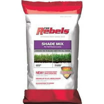 Rebel Tall Fescue Shade Grass Seed - 3 Lbs.