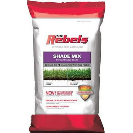 Rebel Tall Fescue Shade Grass Seed - 3 Lbs.