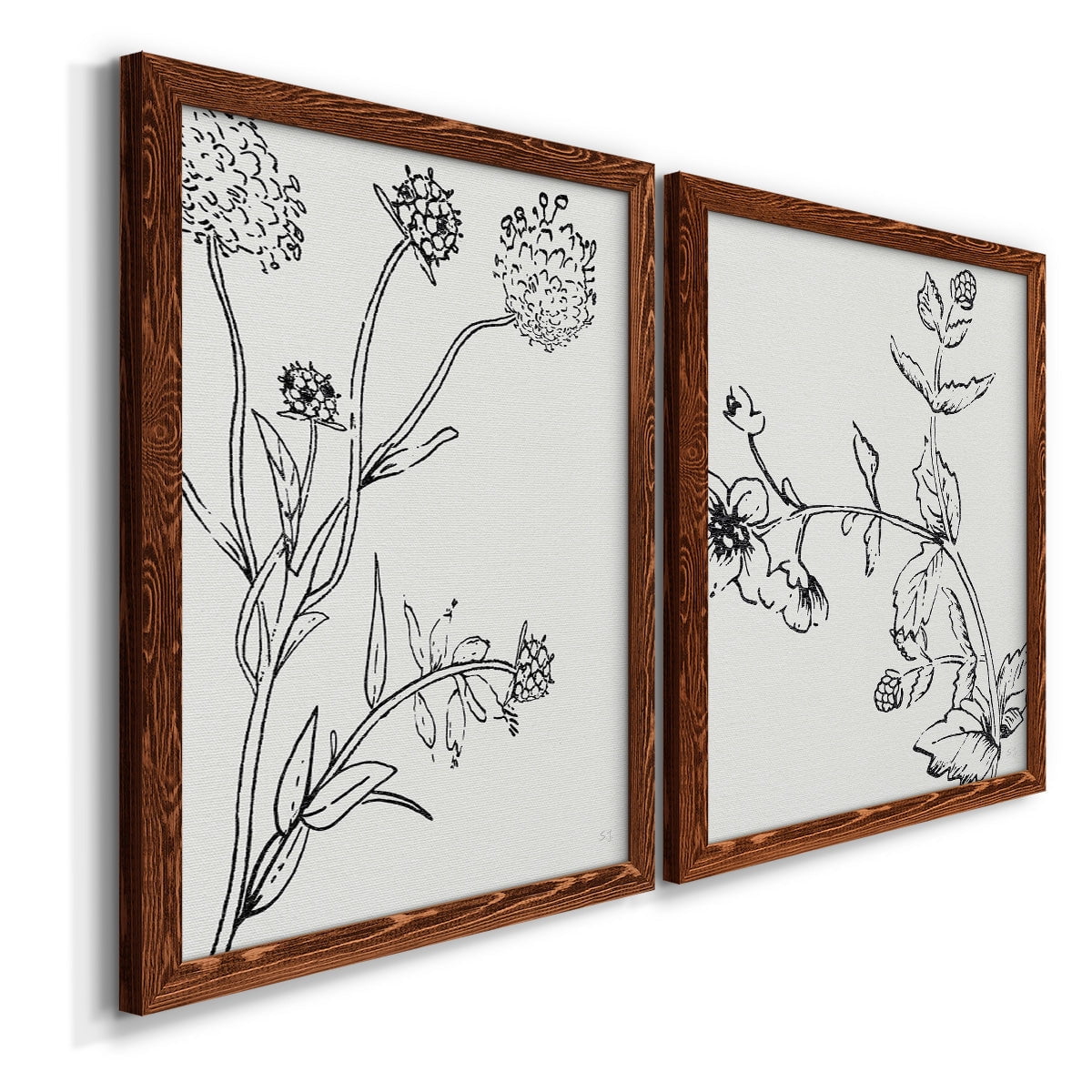 Botanical Study I - Premium Framed Canvas 2 Piece Set - Ready to Hang