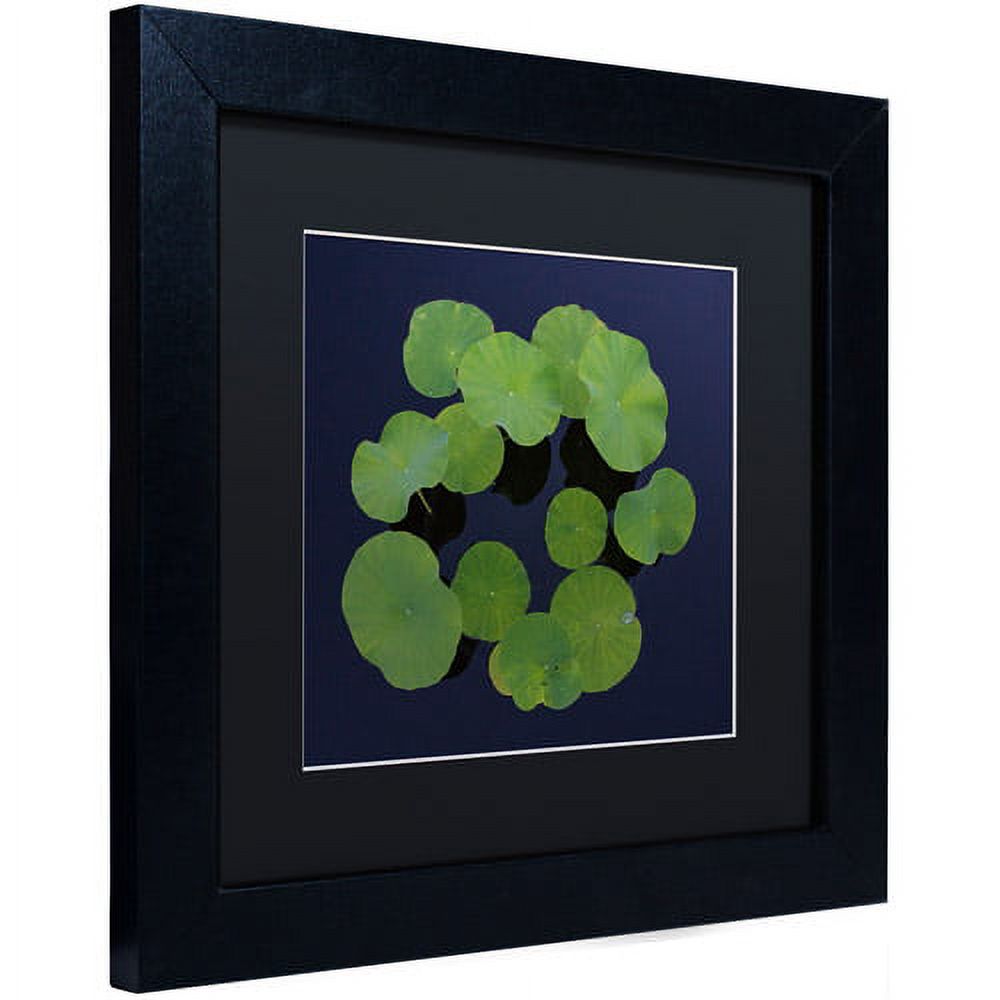 Trademark Fine Art "Giant Lily Pad Abstract" Canvas Art by Kurt Shaffer Black Matte, Black Frame