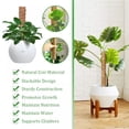 thumbnail image 5 of Prettyui Plant Climbing Coir Totem Pole Safe Gardening Coconut Palm Stick for Climbing Plants with 50pcs Support Clips, 5 of 6