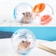 thumbnail image 5 of Bienvenido Pelota de juguete antiescape para hámster, pelota para correr de juguete para mascotas pequeñas, 5 of 5