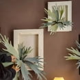 thumbnail image 2 of Artificial Antler Fern with Wooden Frame, 2 of 6