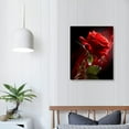 thumbnail image 3 of Nawypu Canvas Prints Wall Art - Closeup of Red Rose Flower Against Black Background | Modern Wall Decor/Home Decoration Stretched Gallery Canvas Wrap Giclee Print & Ready to Hang - 16x20 inch, 3 of 4