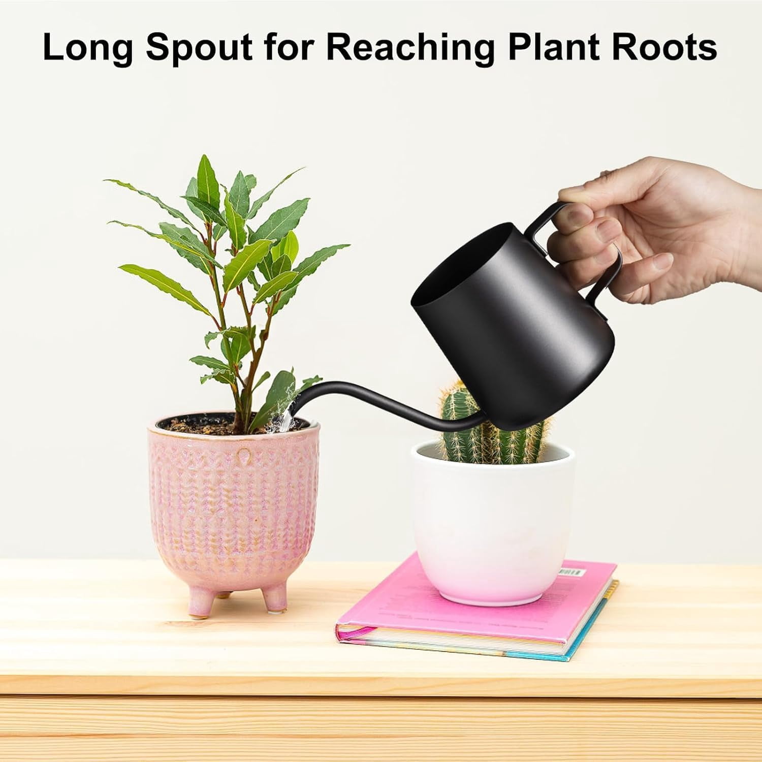 12 oz / 350 ml Small Watering Can Indoor Plants, Stainless Steel Plant with Long Spout (Black) (12oz)
