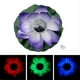 thumbnail image 3 of 2 Unids Lotus Flores Flotante Luz De Para La Decoración Del Estanque De Jardín, Inicio Acuario Bodas Decoración Gloria Luz de noche flotante de loto, 3 of 9