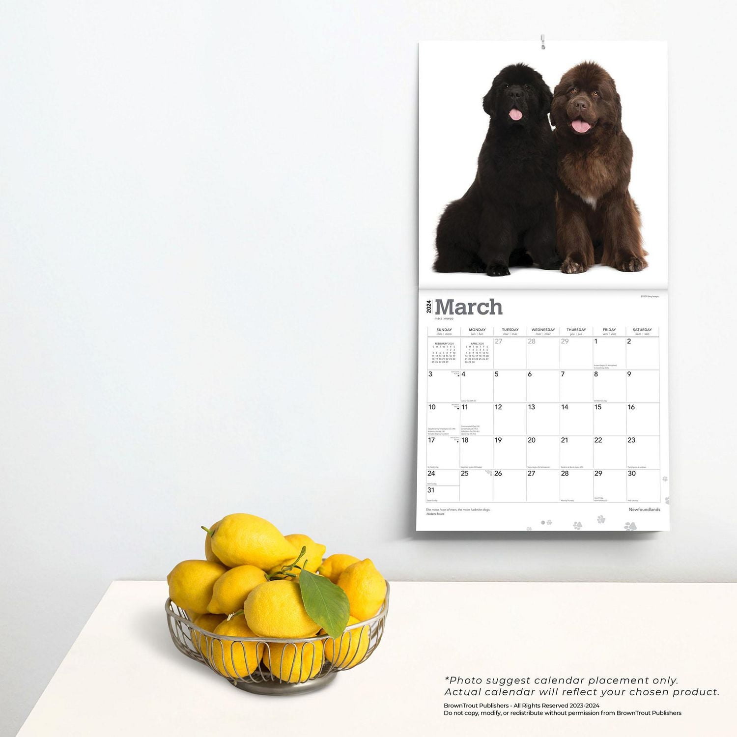 BrownTrout Terre-Neuve 2024 Mur Carré 30.48x60.96 CM, 9781975464295