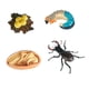 thumbnail image 3 of Modelo de Animales de Insectos Hugo Juguetes Adornos de Insectos Juego de Juguetes Educativos Estilo B, 3 of 10