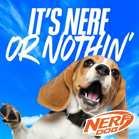 Nerf Dog Compact Blaster Tennis Ball Launcher for Dogs with 2 Balls, 12 inch