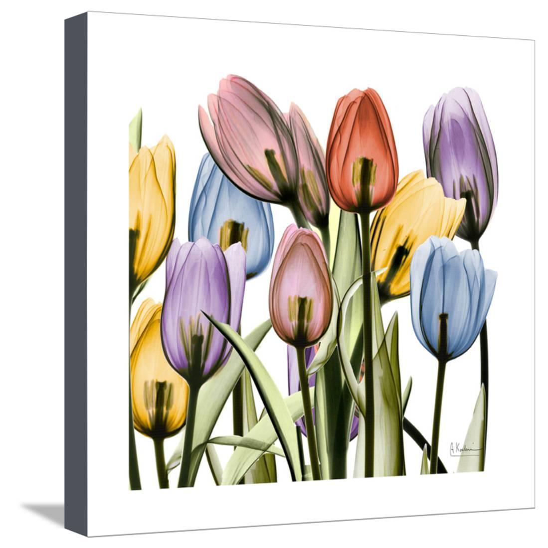 Tulipscape Floral Xray Photography Flowers Stretched Canvas Print Wall