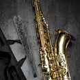 thumbnail image 3 of GOOHOCHY Cepillo Profesional Para Limpieza De Saxofón Alto Color Gris Y Material Duradero, 3 of 8