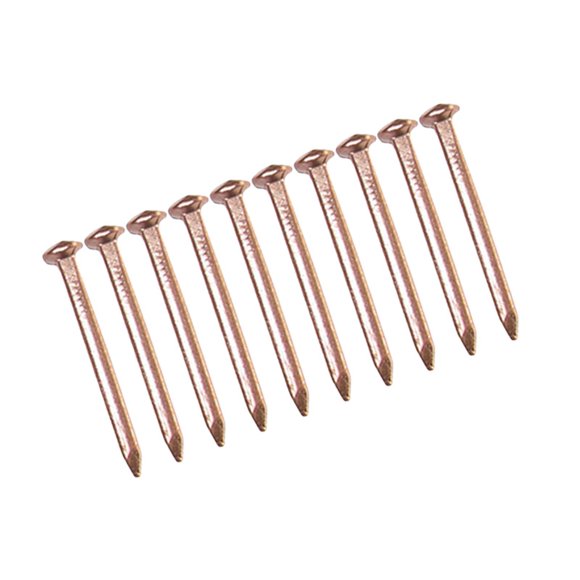 Rongfmy 10 Pieces Hardware Copper Nails for DIY Hobbies Home Improvement Landscaping 38mm