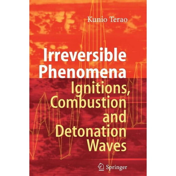 Irreversible Phenomena: Ignitions, Combustion and Detonation Waves, (Paperback)