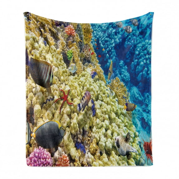 Ocean Soft Flannel Fleece Blanket, Colorful Life Natural Environment Deep down in the Sea Scenery Exotic Holiday Picture, Cozy Plush for Indoor and Outdoor Use, 60" x 80", Blue Beige, by Ambesonne